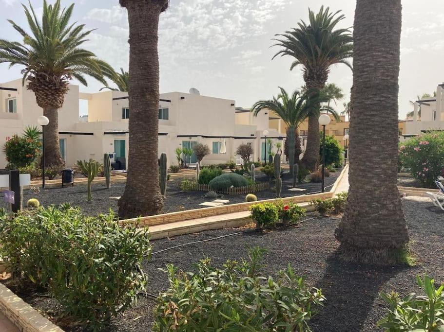 Corralejo Suite Pool & Gardens - Alisios Playa Ngoại thất bức ảnh